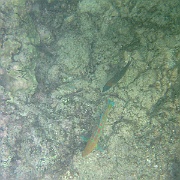 Picture 112